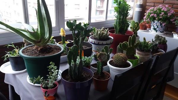 Imagen 16 Fotos Nico foto