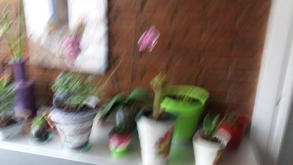 Imagen 18 Fotos Nico foto