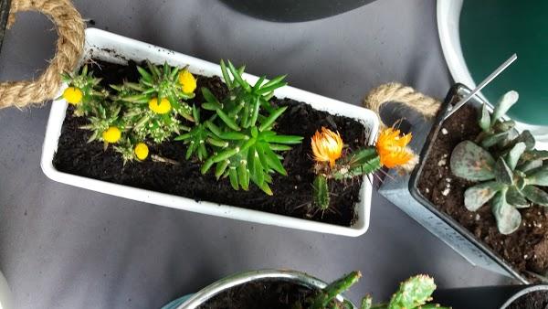 Imagen 22 Fotos Nico foto