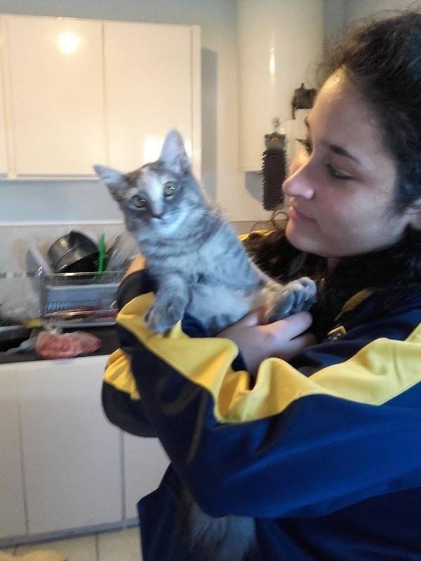 Imagen 52 Fotos Nico foto