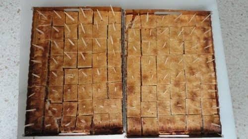 Imagen 14 Arex Bouzas S.l. foto