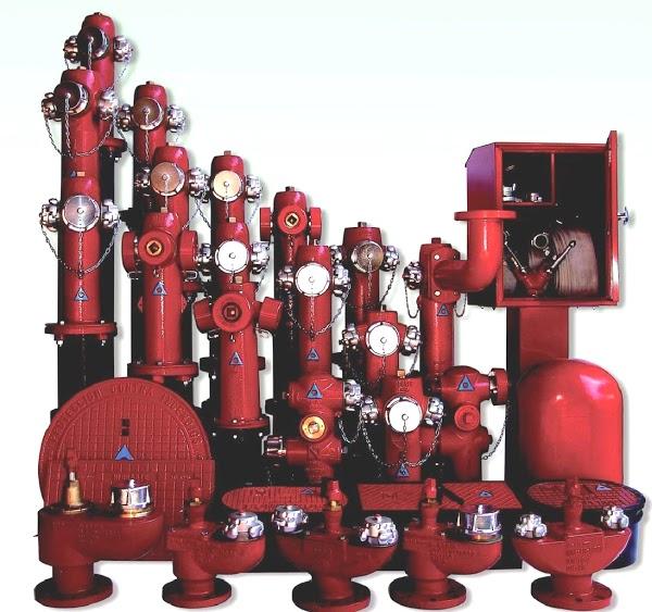 Imagen 63 Arex Bouzas S.l. foto