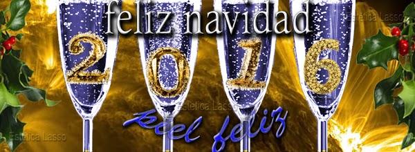 Imagen 110 Estética Lasso foto