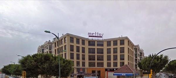 Imagen 33 Pizza Market foto