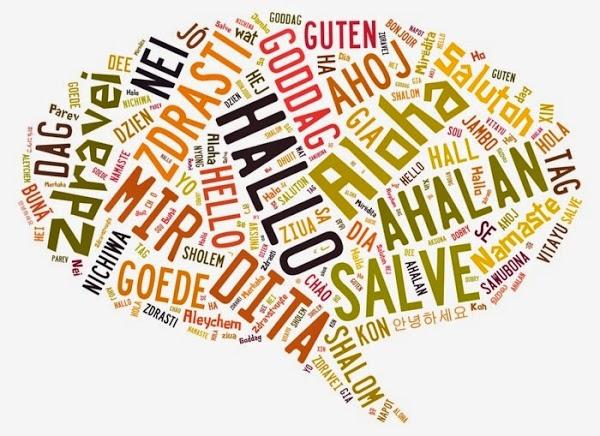 Imagen 35 Pizza Market foto