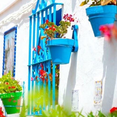 Imagen 21 Colegio Santa Maria foto