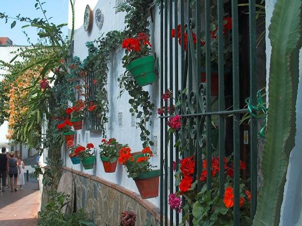 Imagen 25 Colegio Santa Maria foto