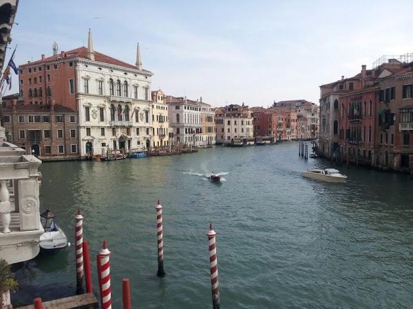 Imagen 9 Catedral de Irapuato foto