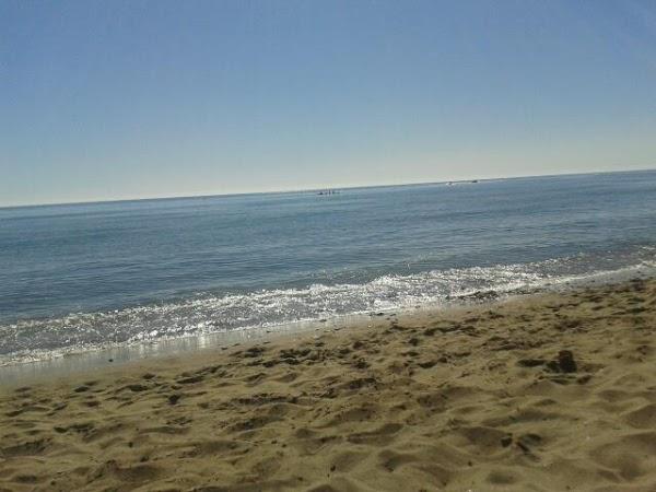 Imagen 5 El Trebol 3 Etapa foto