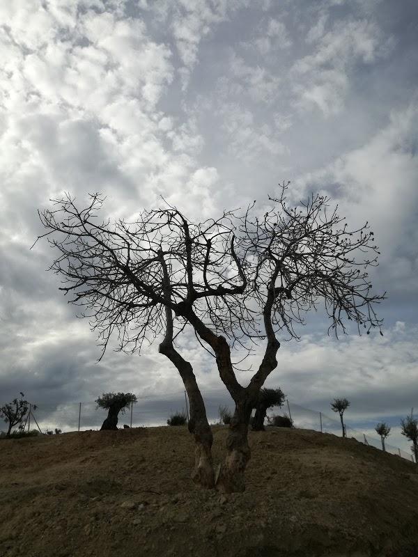 Imagen 50 Talleres Gruas del Sur foto