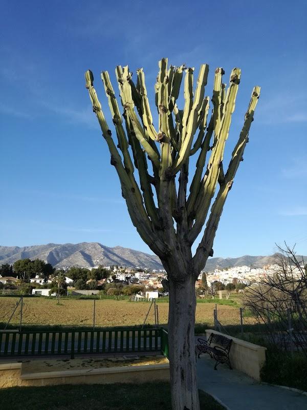 Imagen 51 Talleres Gruas del Sur foto