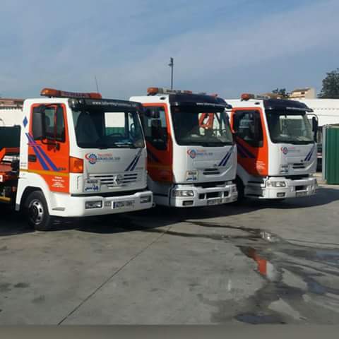 Imagen 53 Talleres Gruas del Sur foto