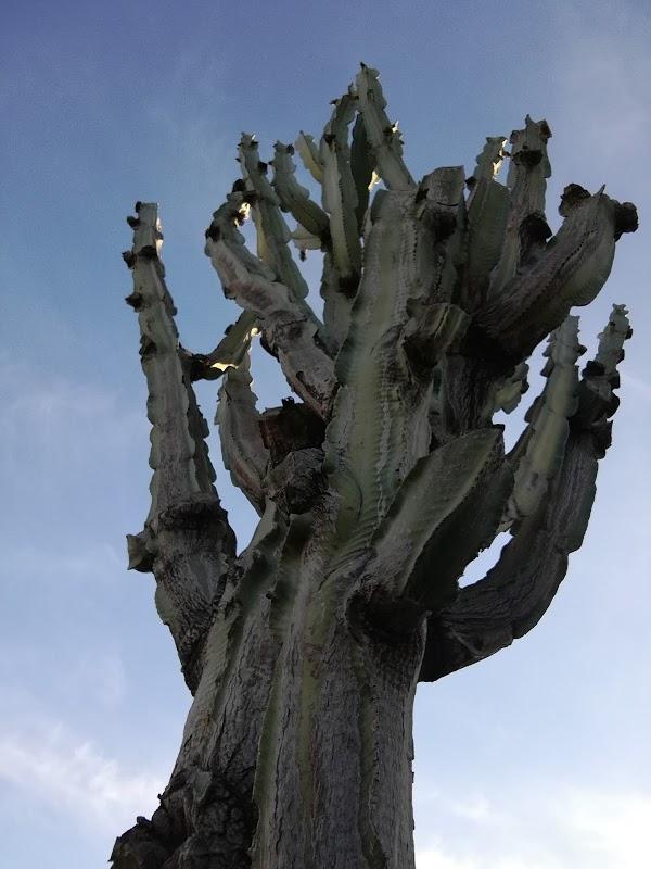 Imagen 55 Talleres Gruas del Sur foto