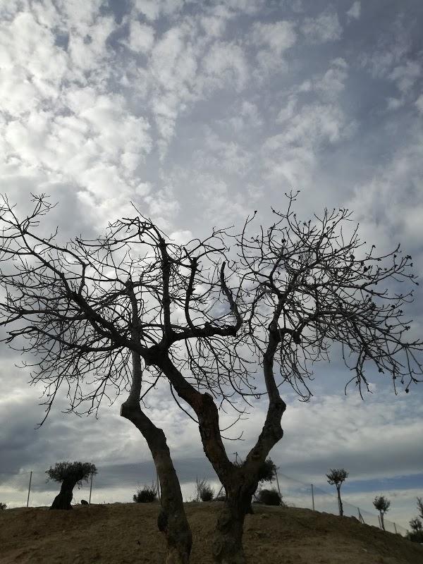 Imagen 56 Talleres Gruas del Sur foto