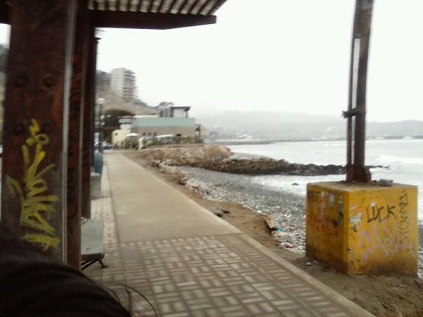 Imagen 41 Conservatorio de Arte Esther Villasanti foto