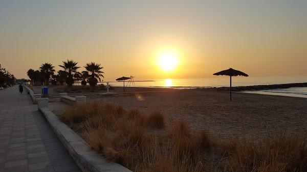 Imagen 23 Paquetería Tenerife foto