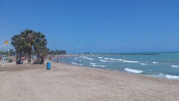 Imagen 26 Paquetería Tenerife foto