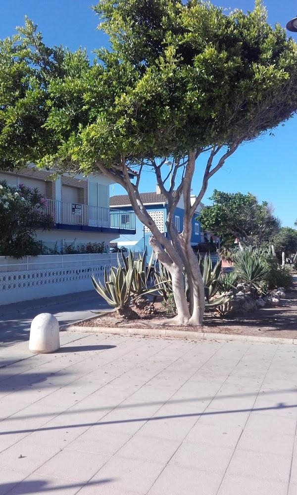 Imagen 27 Paquetería Tenerife foto