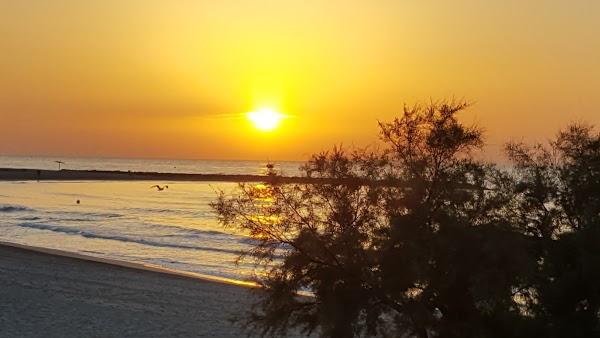 Imagen 37 Paquetería Tenerife foto