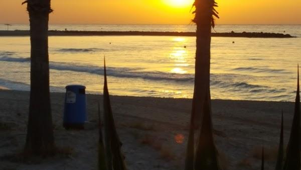 Imagen 38 Paquetería Tenerife foto