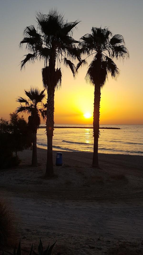 Imagen 42 Paquetería Tenerife foto