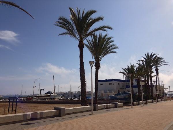 Imagen 11 colegio peñalar foto