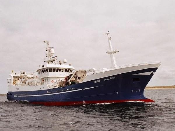 Imagen 25 Hotel Market foto