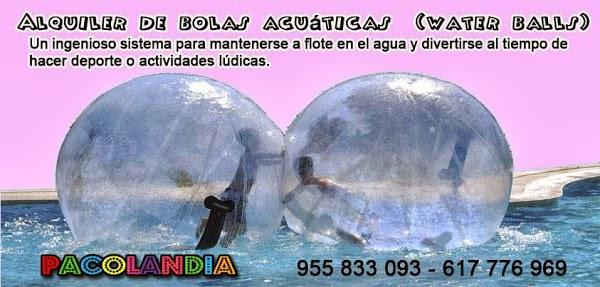 Imagen 27 Asociación de Vecinos Los Molinos-Buenavista foto