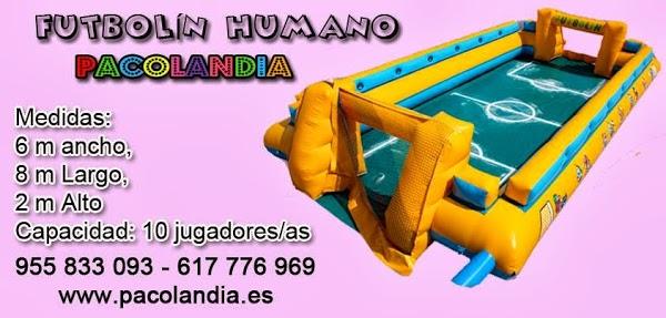 Imagen 44 Asociación de Vecinos Los Molinos-Buenavista foto