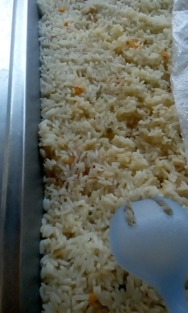 Imagen 21 Biblioteca del Nord foto