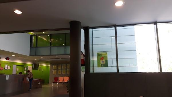 Imagen 39 Biblioteca del Nord foto