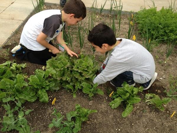 Imagen 46 Biblioteca del Nord foto