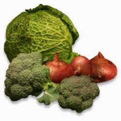 Imagen 8 Clinica Medico Dental Pino Giroca foto