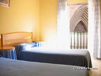 Imagen 30 Springfield - SPF Man & Woman foto