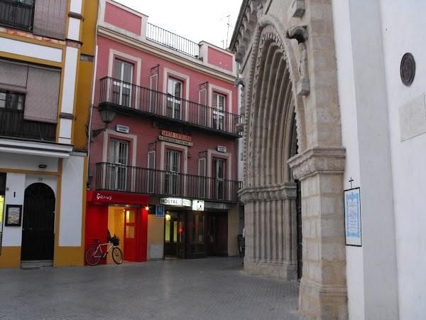 Imagen 37 Springfield - SPF Man & Woman foto