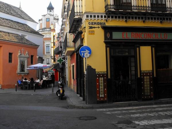 Imagen 38 Springfield - SPF Man & Woman foto