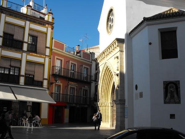 Imagen 39 Springfield - SPF Man & Woman foto