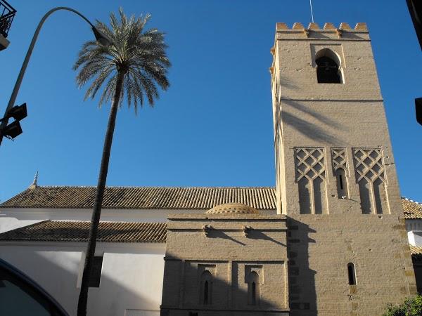 Imagen 41 Springfield - SPF Man & Woman foto