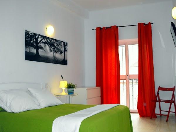 Imagen 42 Springfield - SPF Man & Woman foto