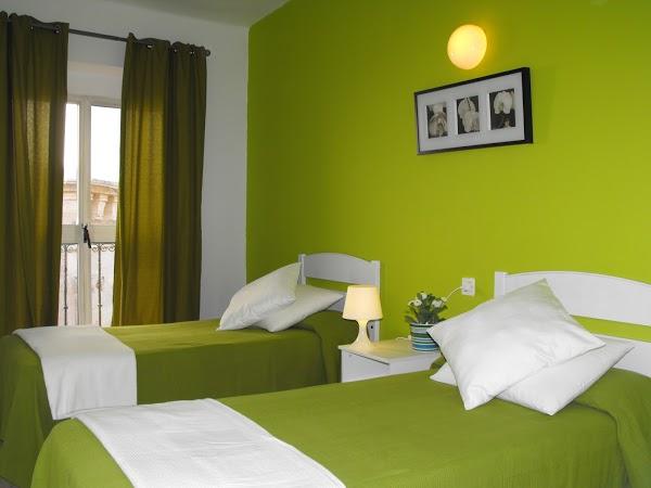 Imagen 46 Springfield - SPF Man & Woman foto