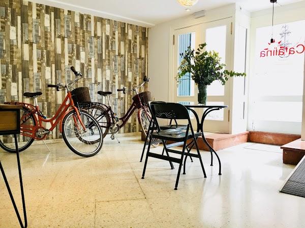 Imagen 49 Springfield - SPF Man & Woman foto