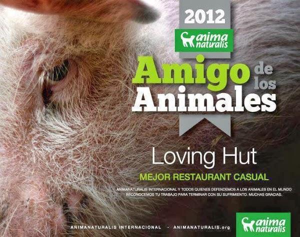 Imagen 11 Loving hut foto