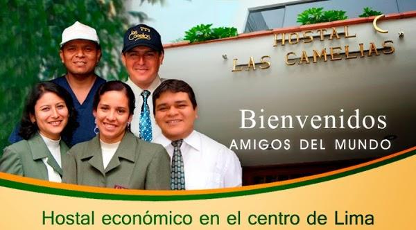 Imagen 12 Prowebst foto