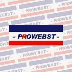 Imagen 10 Prowebst foto