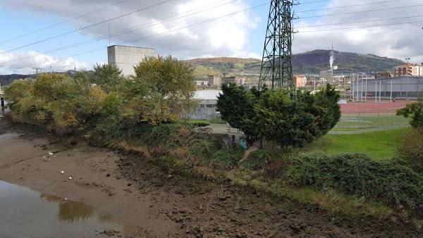 Imagen 34 Multinet Canarias S.L. foto