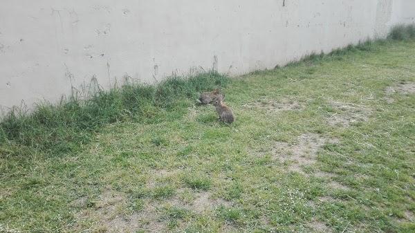 Imagen 38 Multinet Canarias S.L. foto