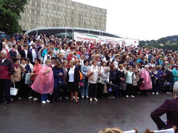 Imagen 39 Multinet Canarias S.L. foto