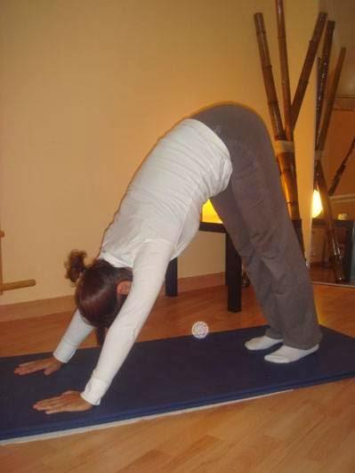 Imagen 13 ALIGHIERI MUSIC SERVICE foto