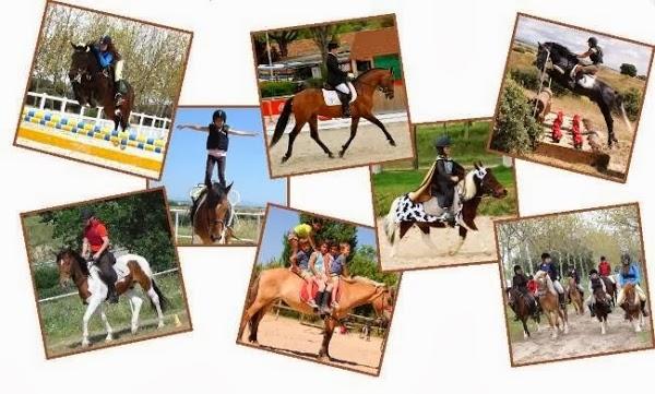 Imagen 19 Coliseo Olímpico foto