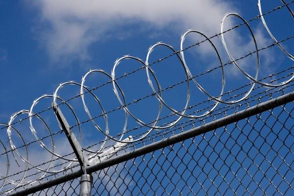 Imagen 80 Mallacid SA de CV / ACEROCID foto